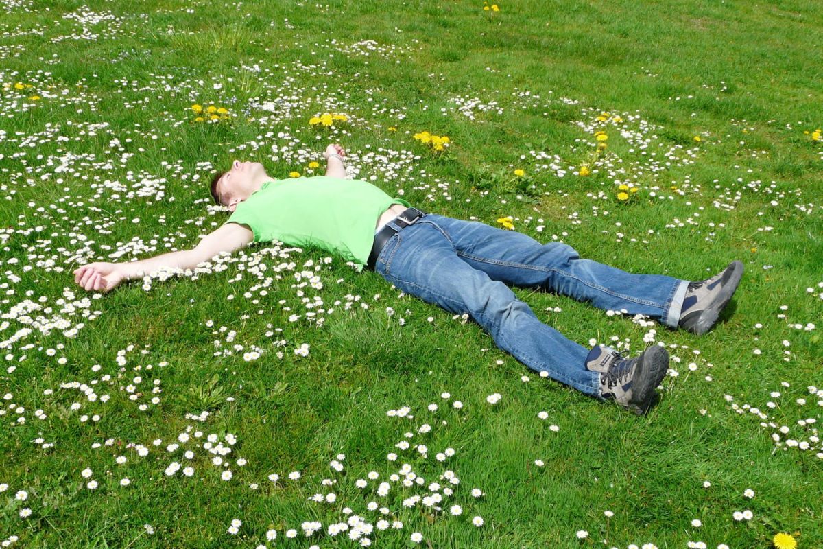 Des astuces pour un jardin fleuri sans effort : conseils d'un expert