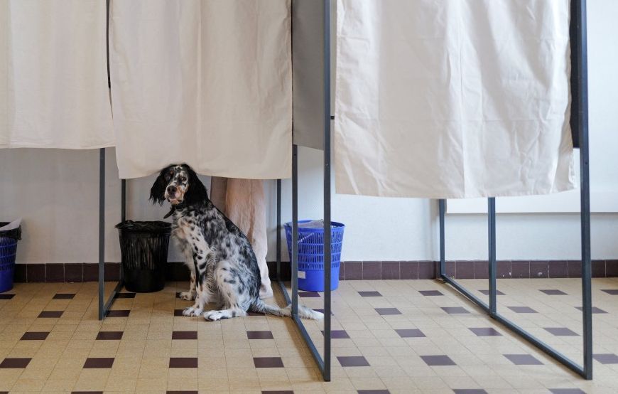 Les sondeurs face aux primaires : un désaccord sur la présidentielle de 2027
