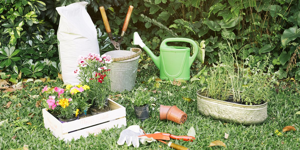 Mai, le mois idéal pour les passionnés de jardinage