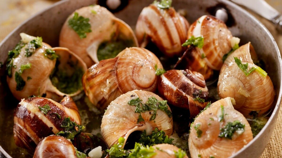 Escargots au beurre persillé : une délicieuse tradition à savourer