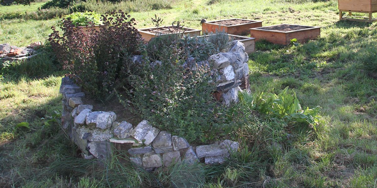 Le jardin aromatique en spirale : une touche de nature dans votre quotidien
