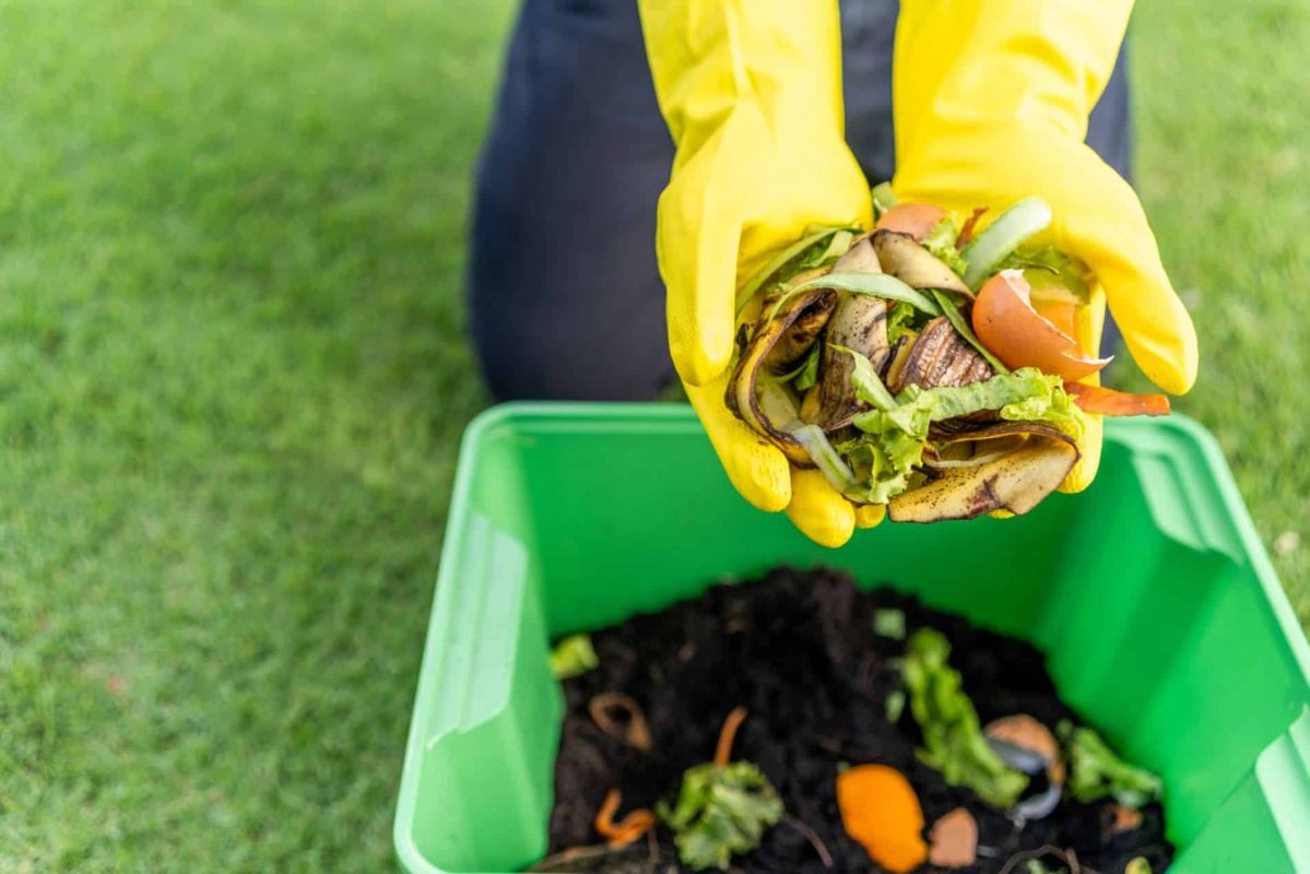 Les secrets d'un compost maison réussi : astuces pour une décomposition rapide