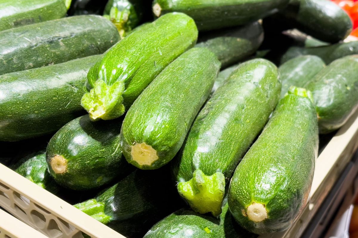 Les secrets des courgettes au goût inoubliable révélés par un expert