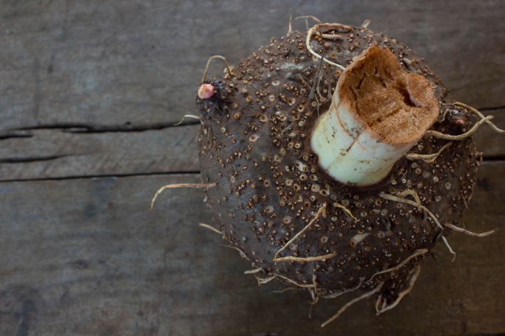 Des solutions naturelles pour mieux gérer votre faim