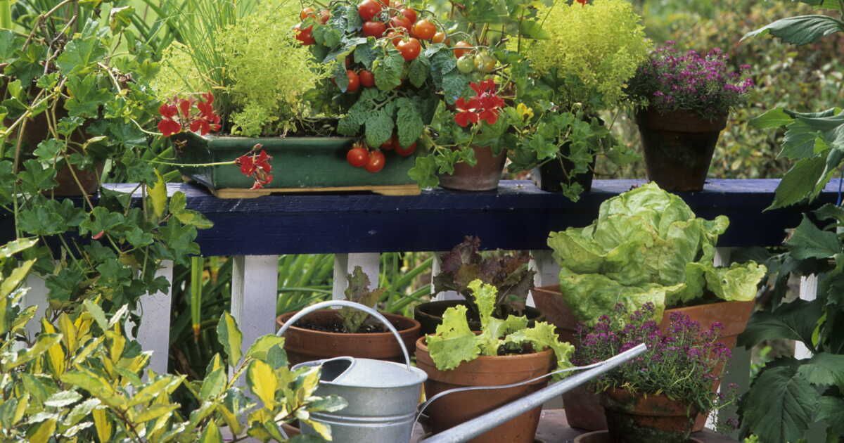 préservez votre terrasse des traces de pots de fleurs avec ces conseils pratiques