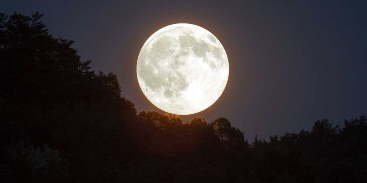 Calendrier lunaire du jardin - Août 2025