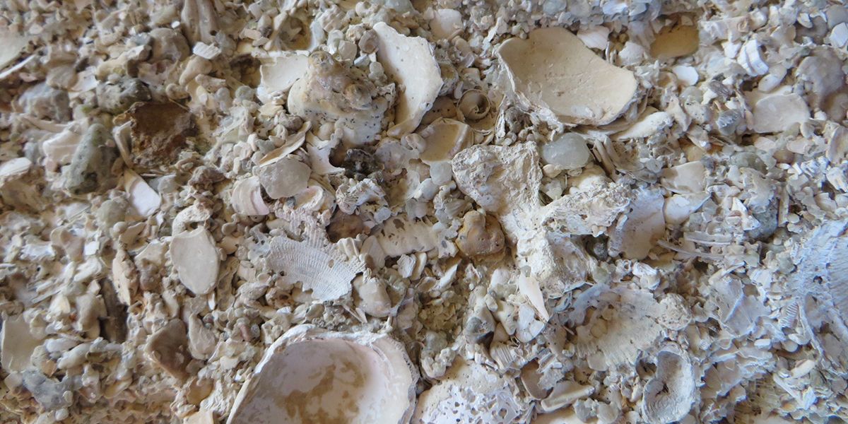 Le falun, un choix idéal pour les allées de jardin