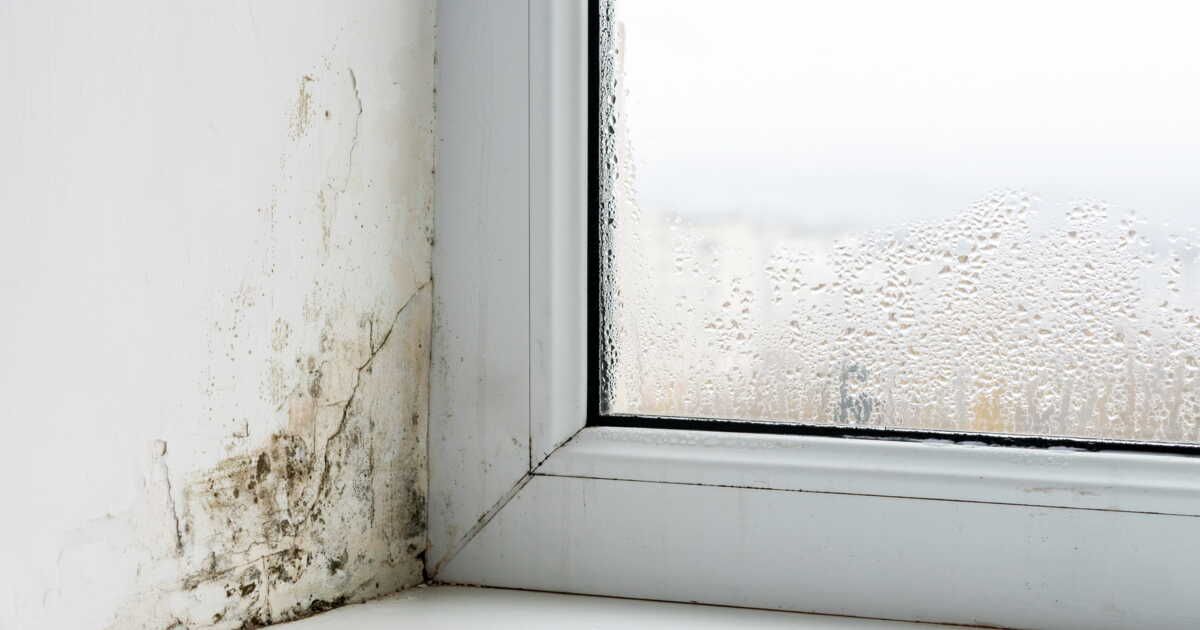 5 questions essentielles à se poser sur l'humidité de votre maison