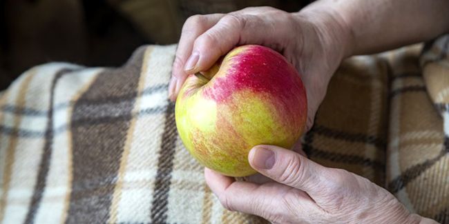 Les bienfaits insoupçonnés de la pomme pour votre santé
