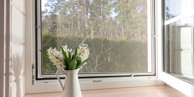 Rendez vos moustiquaires impeccables : 5 conseils pour un nettoyage efficace