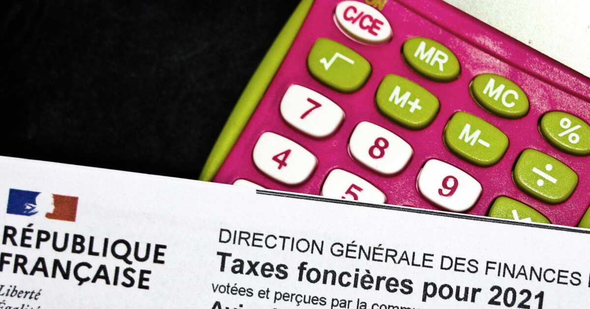 consultation des avis d'imposition d'autrui : ce que vous devez savoir