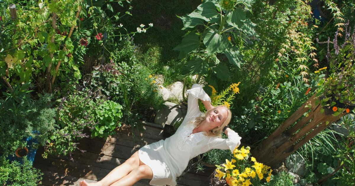 Comment créer un jardin inspiré des 5 sens ?