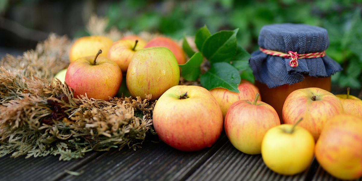 Préparez votre jardin pour l'automne : les indispensables de septembre