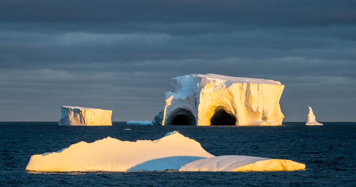 une absence de glace marine alarmante en antarctique