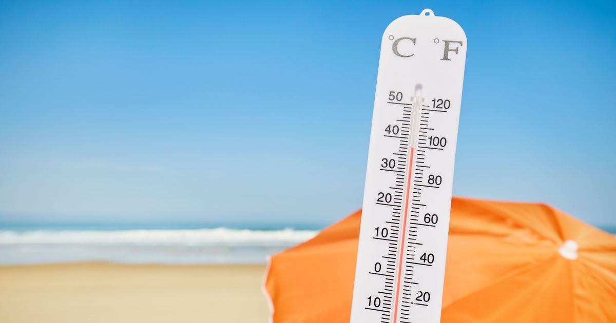 Chaleur record dans les Hauts-de-France : découvrez les températures extrêmes
