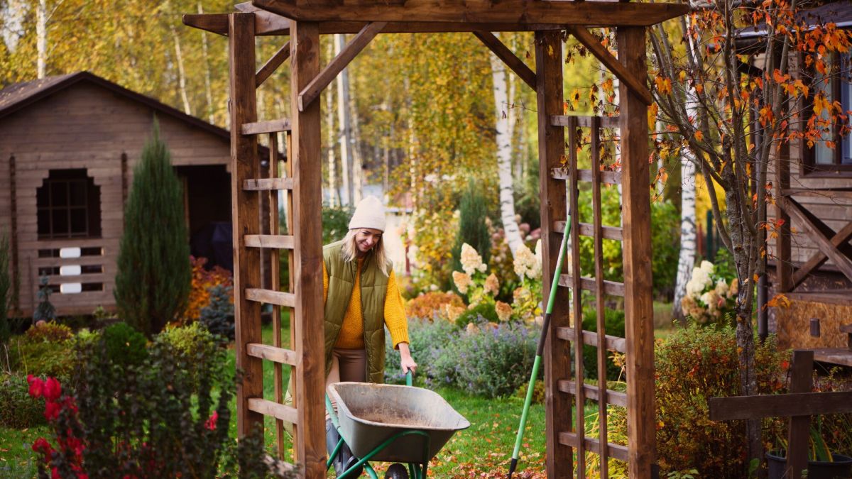 Protéger vos plantes cet hiver : astuces pour un jardin résistant