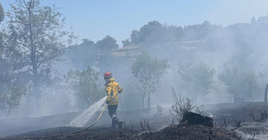 Incendie spectaculaire à Cannes : 2.500 m² de végétation consumés