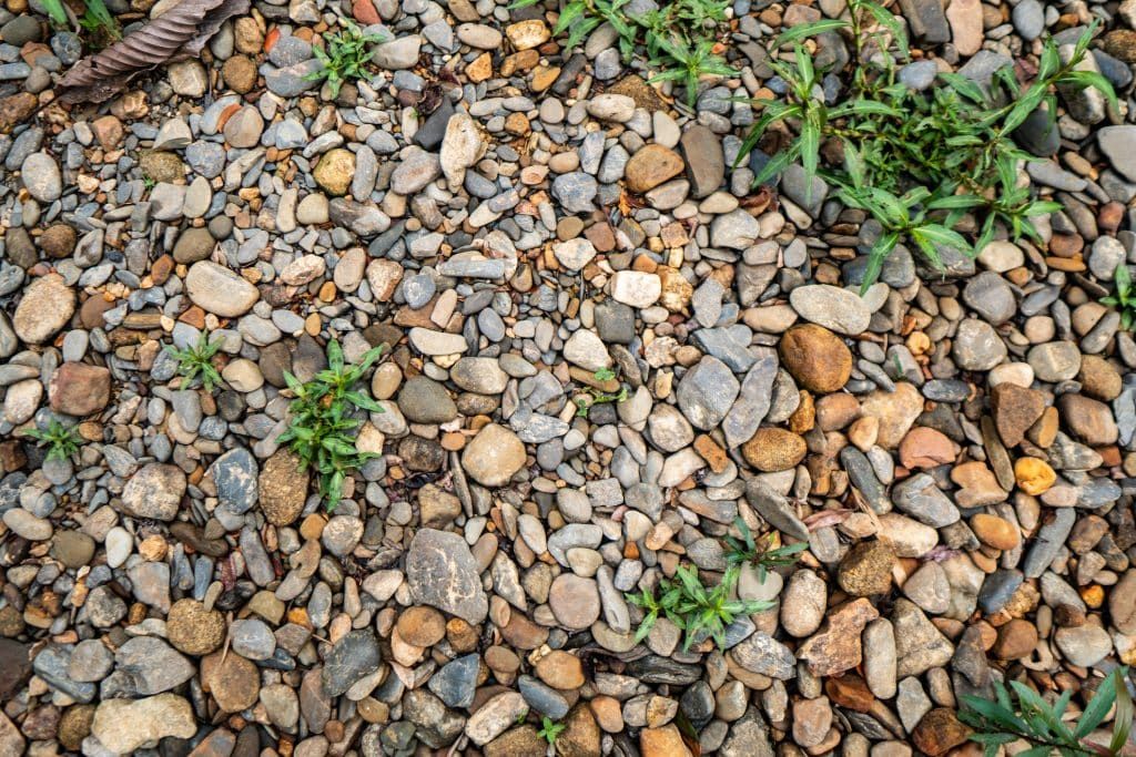 Trois techniques pour protéger votre gravier des mauvaises herbes