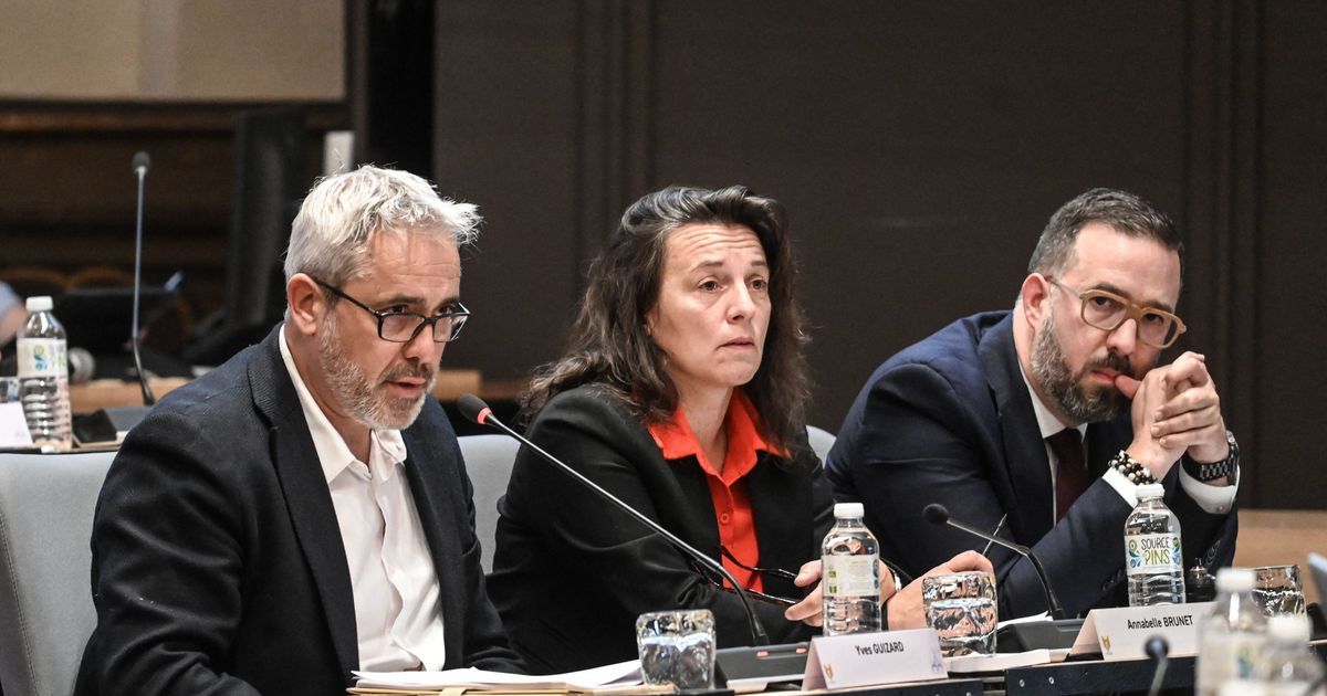 Louis Aliot décide d'agir contre une élue ayant mimé un salut nazi en conseil municipal