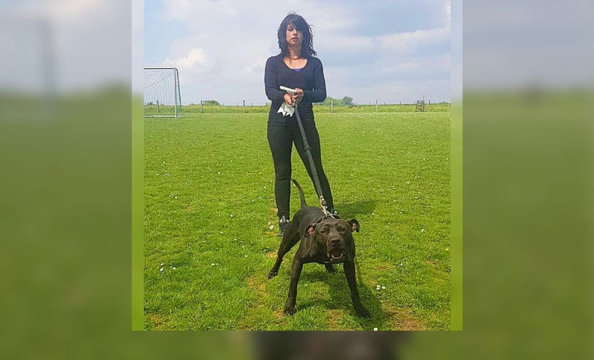 Le chien Curtis, héros ou bourreau ? Le débat qui divise la France