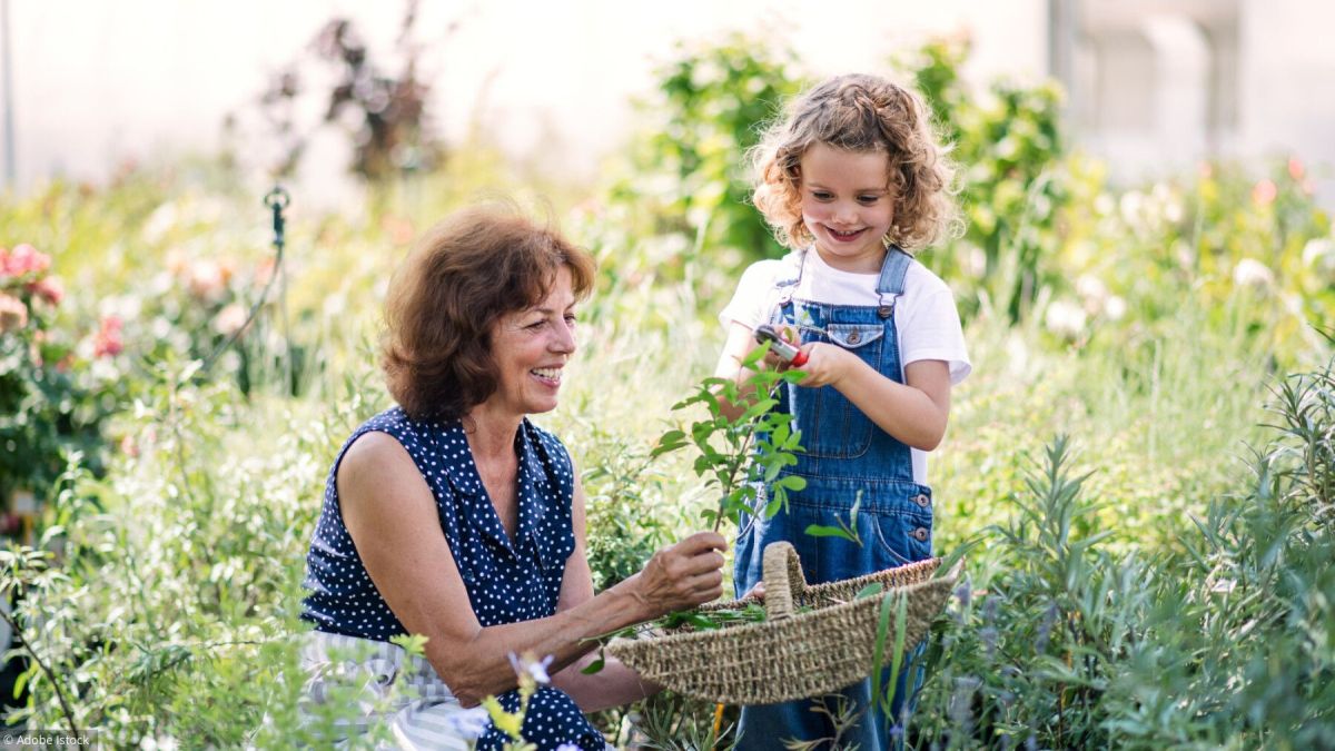 l'agenda du jardinier : que faire en juillet ?