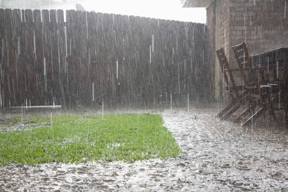 Préparez votre jardin face aux tempêtes : conseils pratiques
