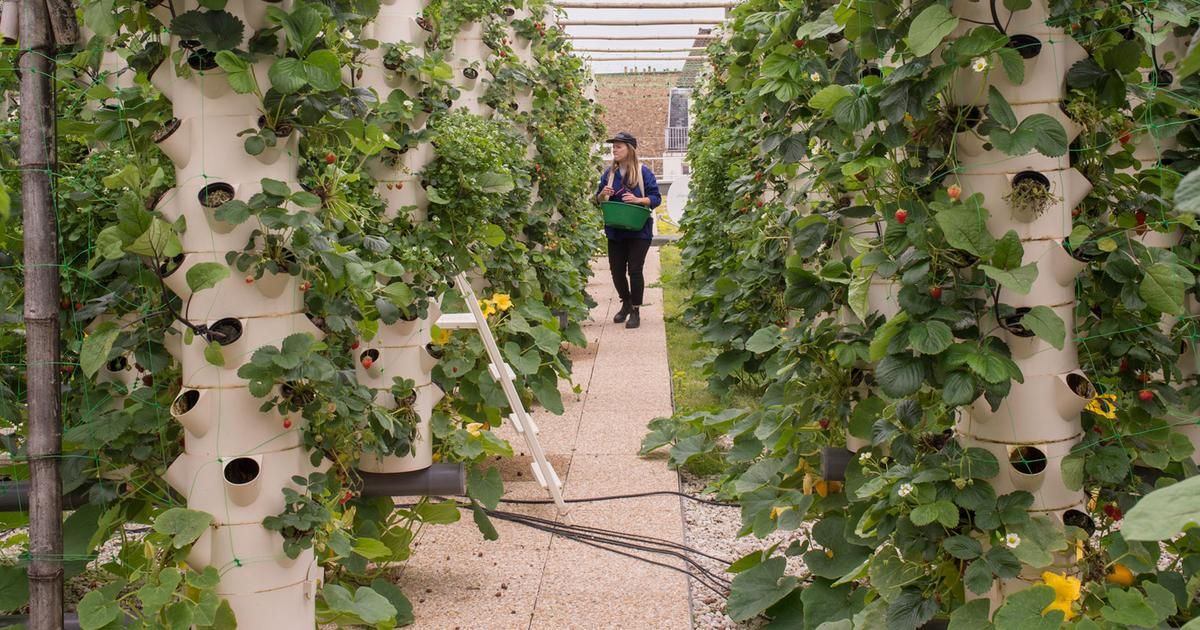 Les trésors gourmands du terroir parisien qui séduisent les citadins