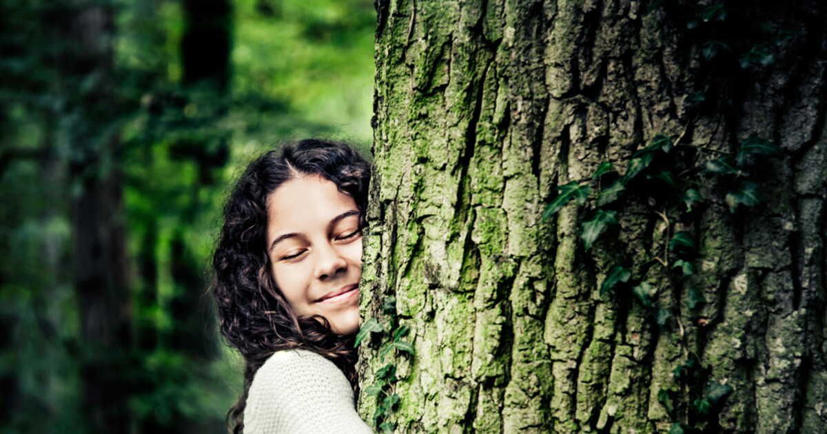 À la découverte de la sylvothérapie au cœur de la forêt