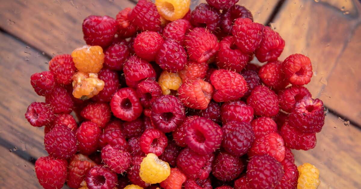 La tarte aux framboises de Cyril Lignac