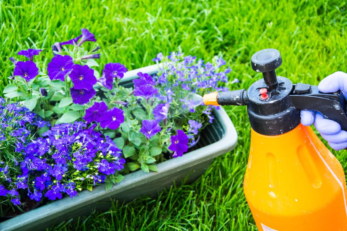 Pesticides interdits : explorez les alternatives naturelles pour votre jardin
