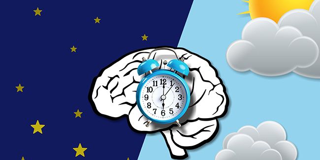 Qu'est-ce que la chronobiologie ?