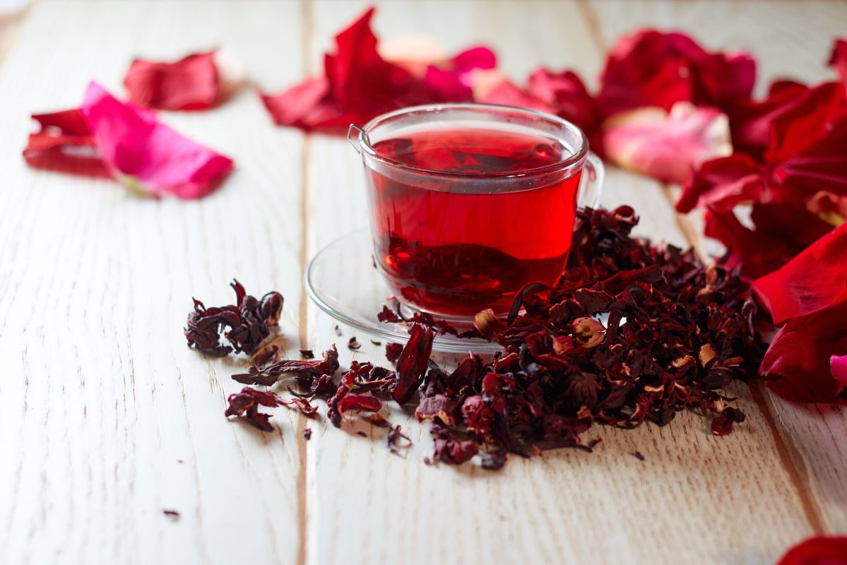 Les trésors cachés de l'hibiscus