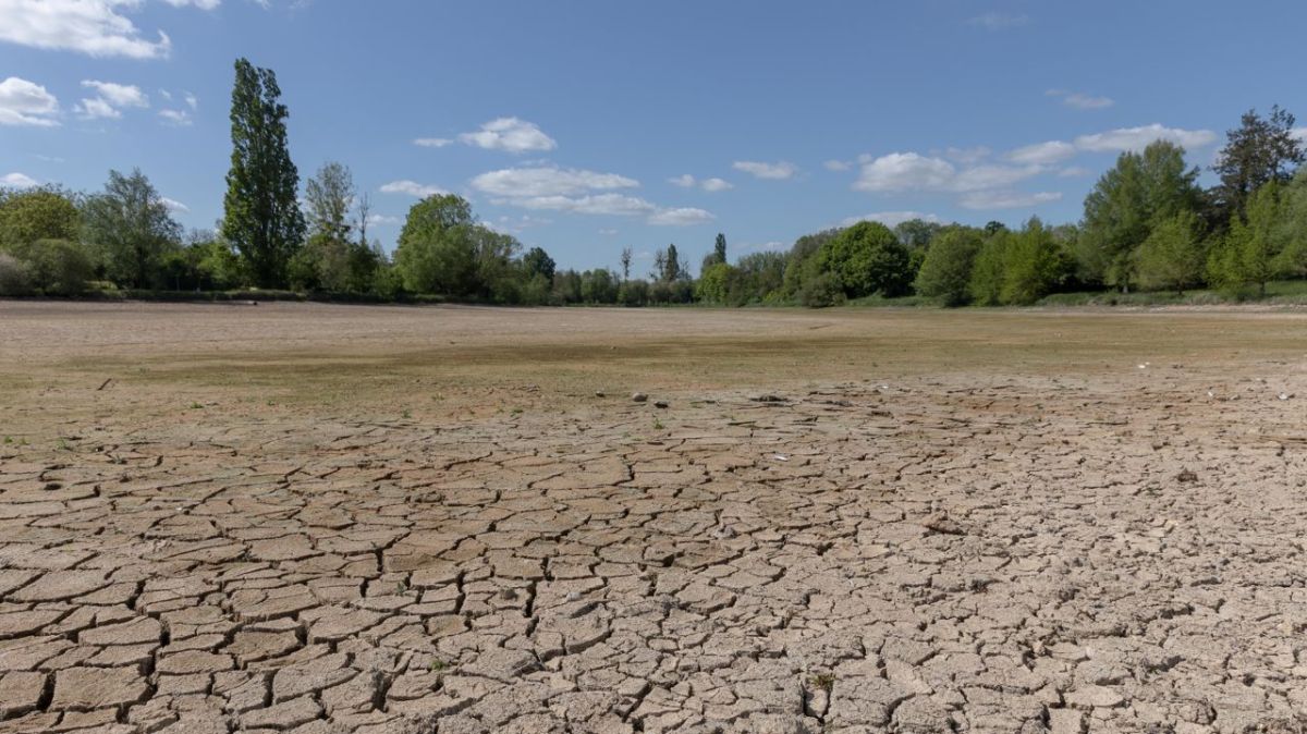 Une alerte sur nos ressources en eau : des nappes phréatiques en chute libre