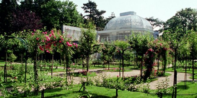 Jardins du Musée Albert-Kahn – Haut de Seine (92)