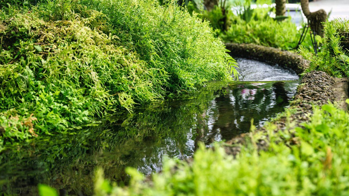 Tragique accident à Arques : un homme retrouvé noyé dans un fossé