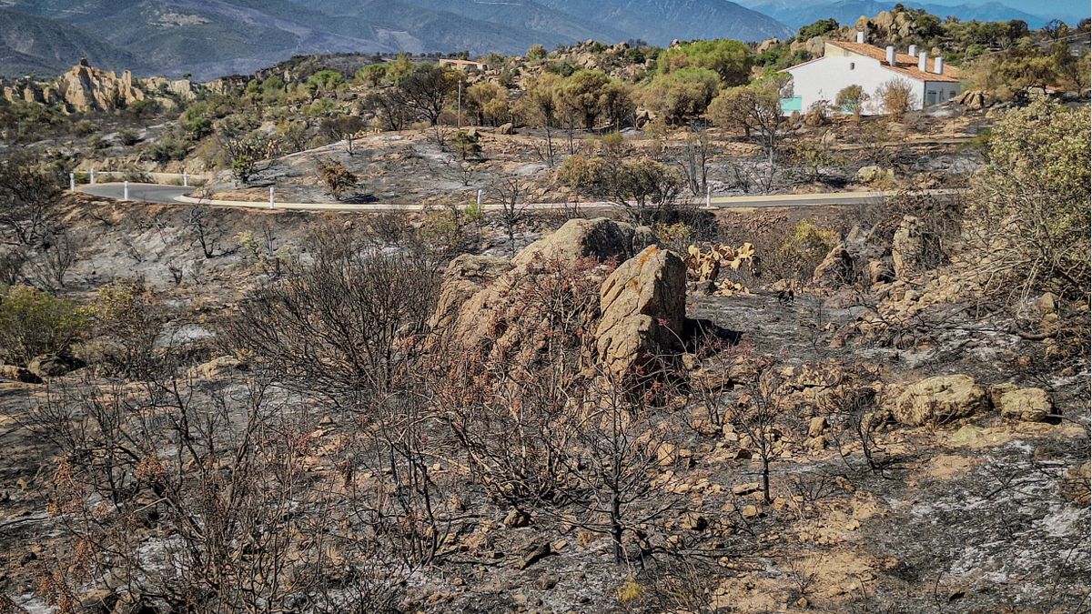 Récit d'un habitant de Vinça : l'attente d'un retour à la maison après l'incendie
