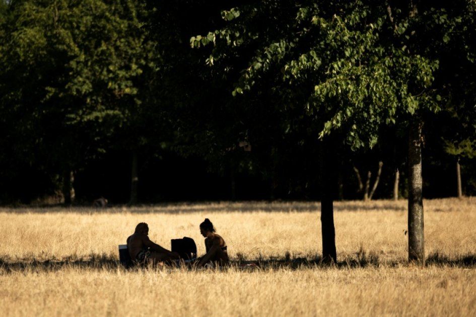 La France face à une chaleur record : incendies et désagréments pour tous