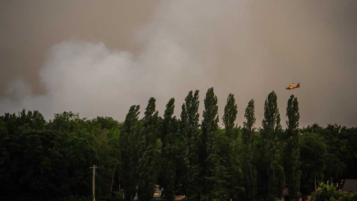 Une France en proie aux flammes et à la chaleur : l'état des lieux