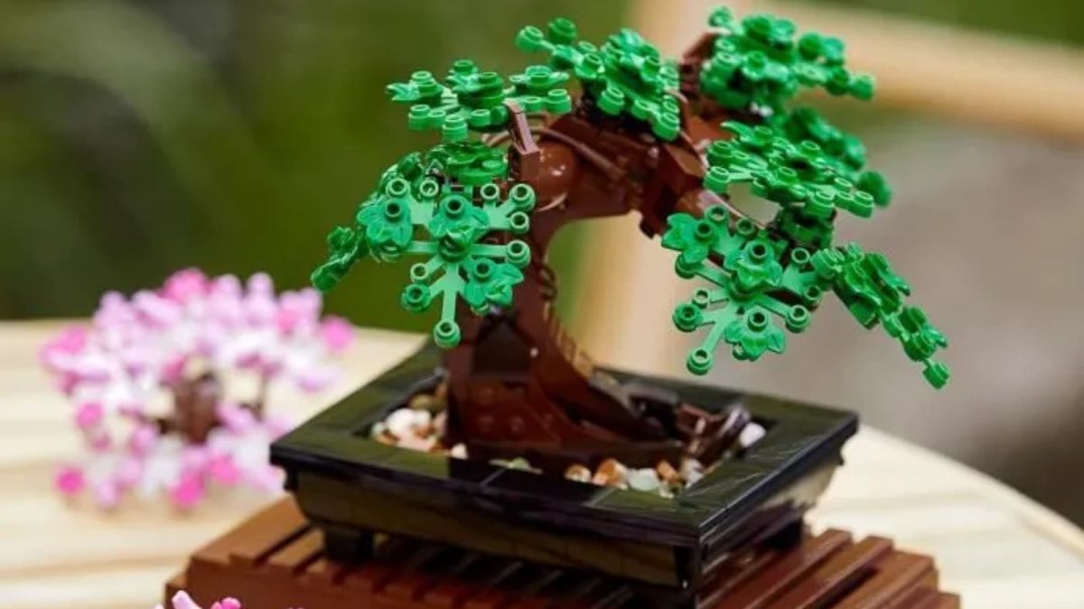 l'offre incroyable sur le set de lego bonsaï qui embellit votre intérieur